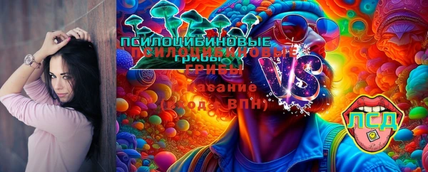 прущие грибы Аркадак