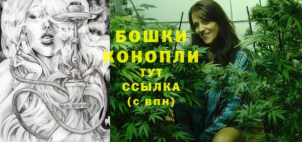 прущие грибы Аркадак