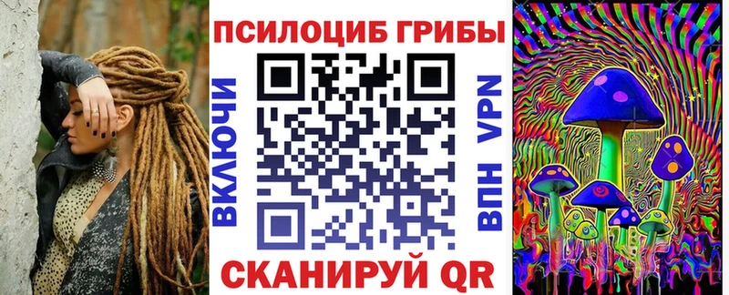 купить   Сухой Лог  маркетплейс какой сайт  Галлюциногенные грибы GOLDEN TEACHER  mega ссылка 